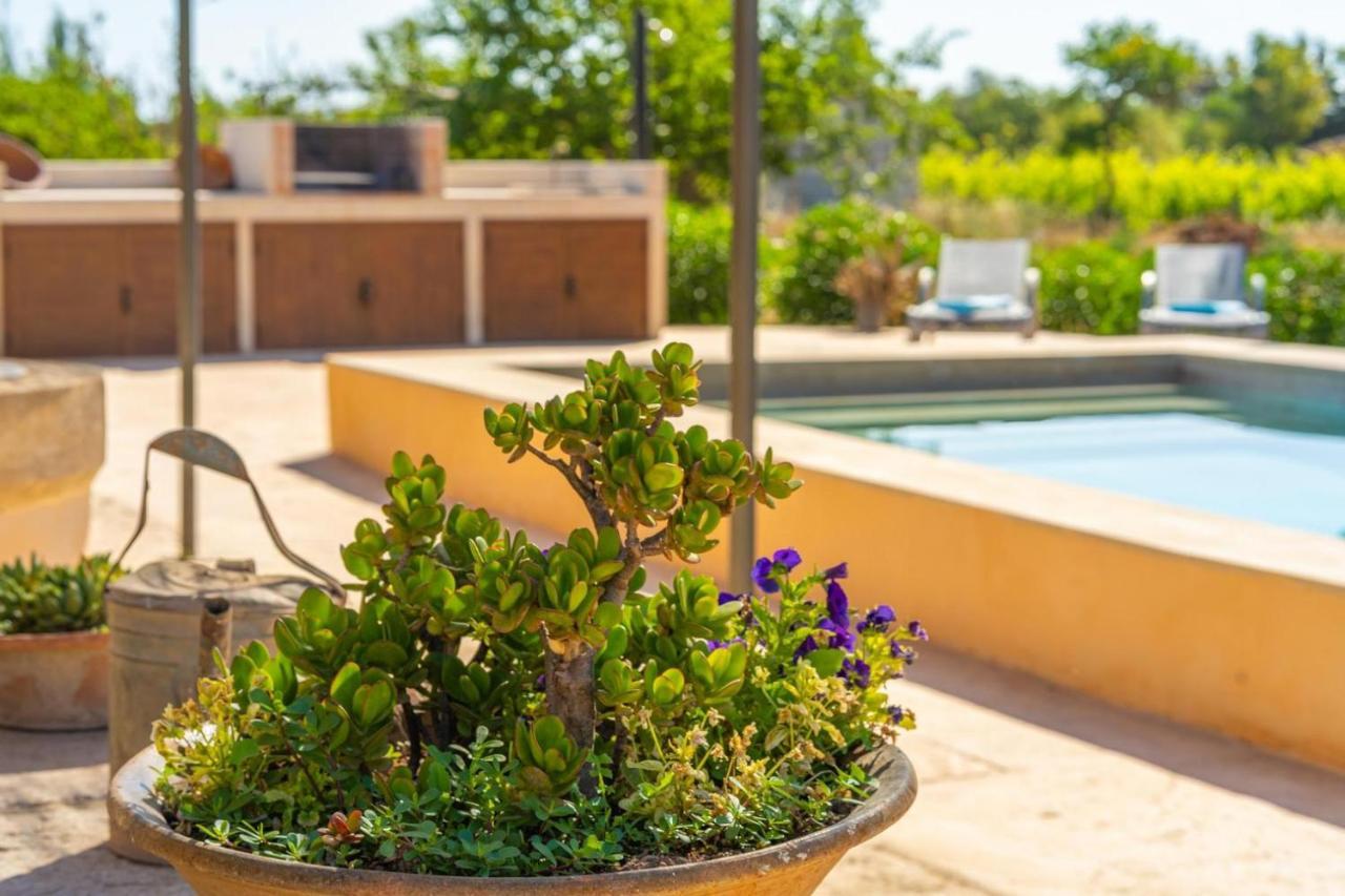 Finca Campestre Es Verger Blue Binissalem Luaran gambar